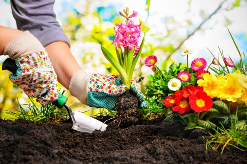 Landscapers maintaining a vibrant garden in Battersea